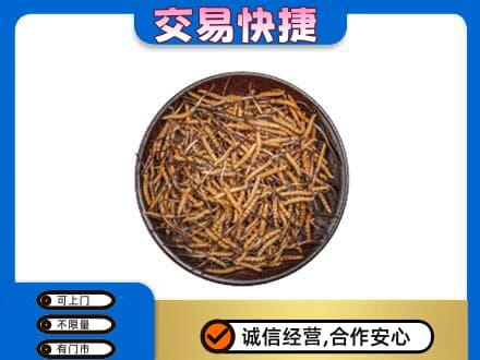 大同区回收散虫草